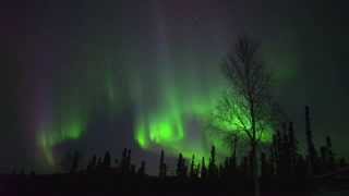 preview picture of video 'Saturday Night Live Northern Lights in Fairbanks, Alaska'