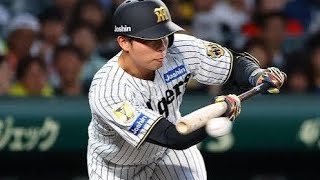 無名から這い上がった男の一打席…甲子園がざわついた瞬間」⚾#阪神タイガース#椎葉剛#プロ野球#甲子園#犠打#バント#中日ドラゴンズ#NPB#野球ハイライト#感動シーン