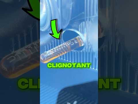 Le liquide de Clignotant existe VRAIMENT 😳