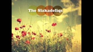 Defective- The Slakadeliqs