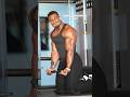 CRAZY Tricep Workout 5 Exercises Meals Coaching Link In My Bio