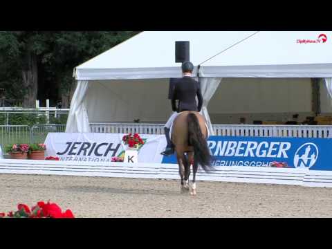 PAV NOBILITY 5j. International Champion for Young Ponys