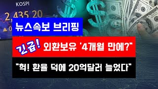 [뉴스속보] 긴급!! 외환보유액 '4개월 만에?'..."헉! 환율 덕에 20억 달러 늘었다?" [정완진TV]