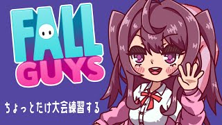 大会練習♡【フォールガイズ】