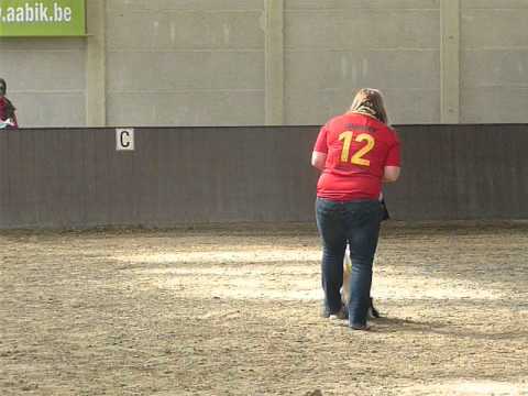 20140501 De Hondendag Ranst DoggyDance Demo 10uur Sky