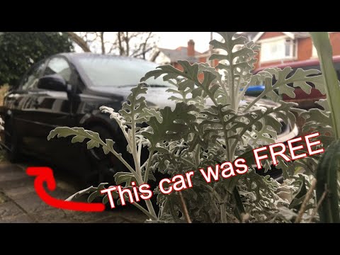 FREE CAR Saving it from being scrapped