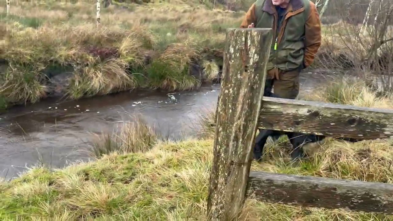 Innkalling ved vann med forstyrrelser