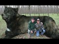 40 Biggest Creatures Ever Spotted On Camera