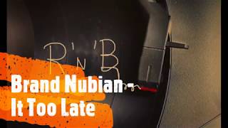 Brand Nubian - It Too Late