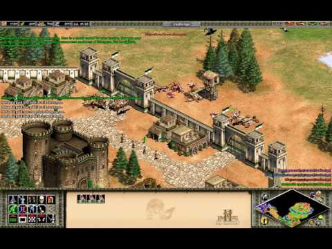 Age of Empires II: El Cid mission 3.