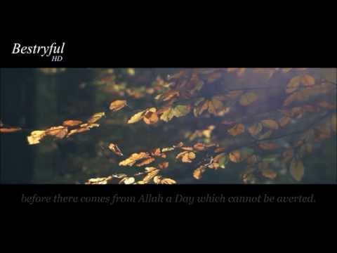 Muhammad Al Luhaidan Offline Quran MP3 Video