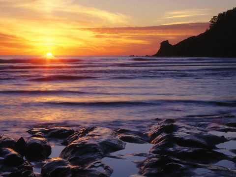 Dynamic Stab ft Dina Eve - Morphing Me