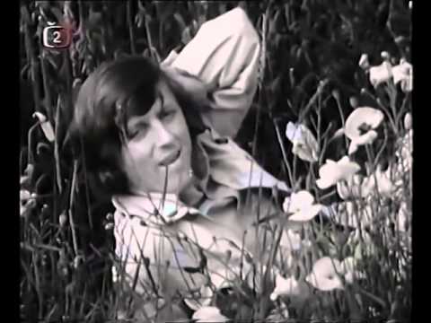 Václav Neckář - Kdo vchází do tvých snů má lásko
