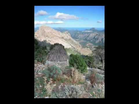 Duo di Oliena -  Disingannu