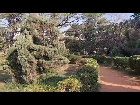 Beginning of Summer garden look