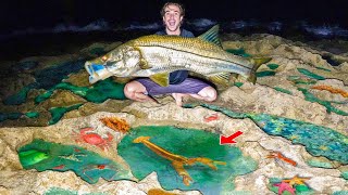 We Caught The TIDE POOL MONSTER At Night!