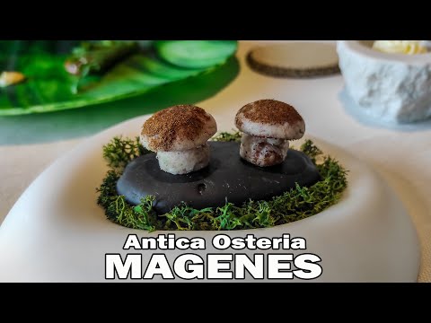 Pranzo all'ANTICA OSTERIA MAGENES - Stellati non stellati