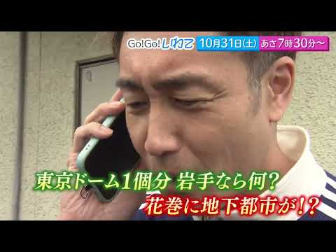 Go!Go!いわて10/31(土) #270