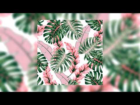 [FREE] Caneras x Maya Berovic type beat | Balkan dancehall ~ Tropico (prod. DripBeats)