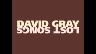 wurlitzer - david gray