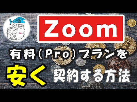 Zoom の費用の概要: Zoom の料金はどのくらいですか?