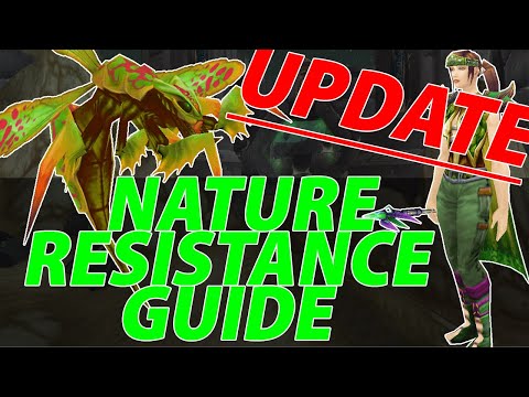 BLIZZARD UPDATE NATURE RESISTANCE GUIDE | AQ40 Preparation | Classic WoW |