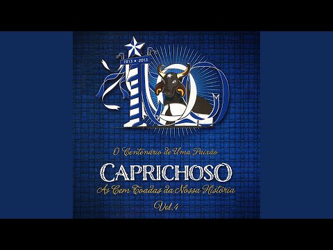 Vaqueiros Da Floresta - Boi Caprichoso