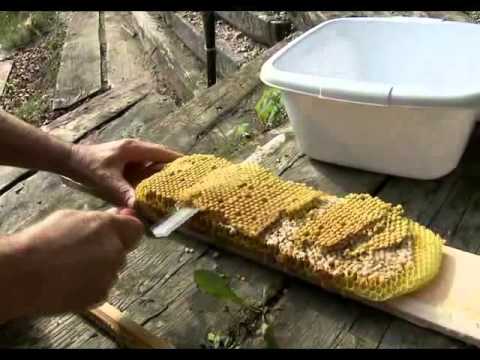 download lagu mp3 mp4 Varojo, download mp3 Varojo free download, download mp3 Varojo