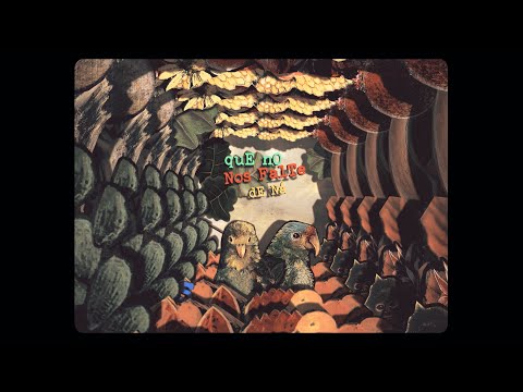 Amparanoia - Que No Nos Falte De Ná 🦜🍉 (Lyric Video)