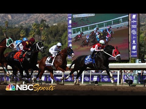 Breeders' Cup 2019: Dirt Mile (FULL RACE) | NBC Sports
