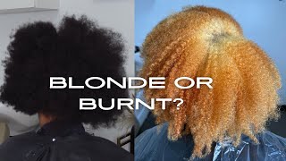 Bleaching Natural Curly Hair! Blonde OR Burnt? What Happened?