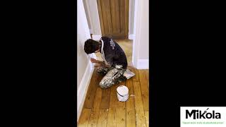 Preview of Mikola Shoalin Painting Services.