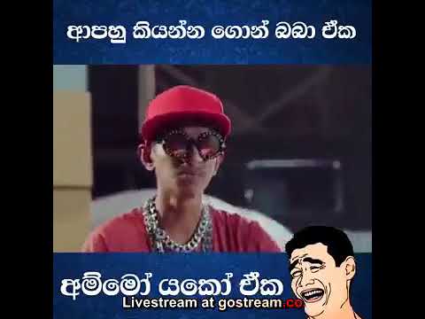 DOGGY boy chanuka😁😁😁😁😁