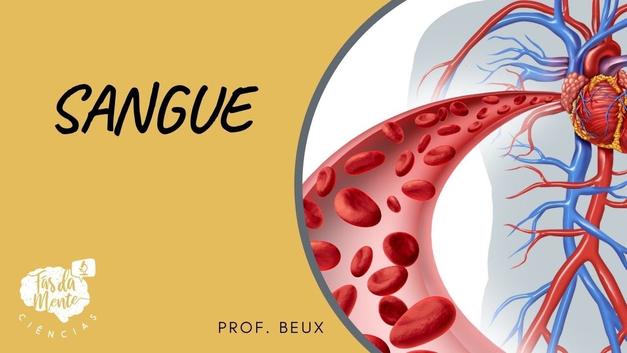 SANGUE - Ensino Fundamental