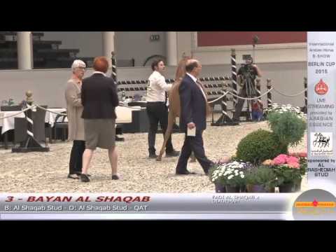 Berlin Cup Werder 2015 - Fillies 1 year old (Class 3A) - N.3 BAYAN AL SHAQAB