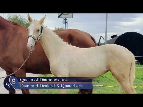 QUEEN OF DIAMONDS-JASK