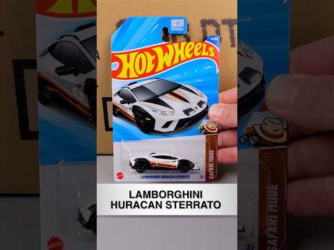 Winner of 2025 Hot Wheels B Case