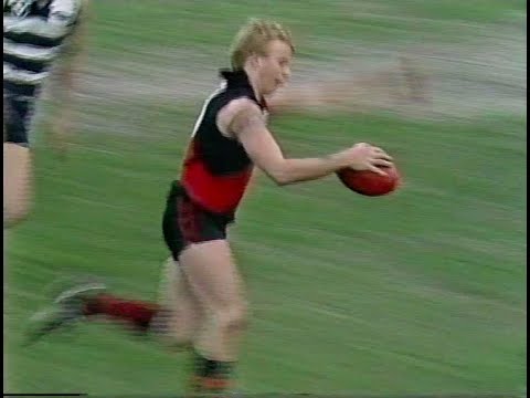 Essendon Highlights - 1989 QF v Geelong