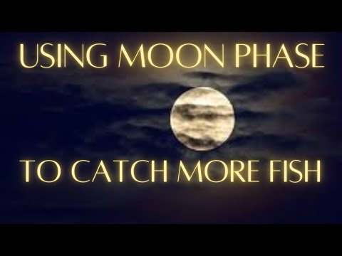 Moon Phase Puerto Rico