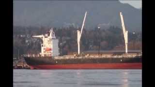 Westwood Cascade at LynnTerm