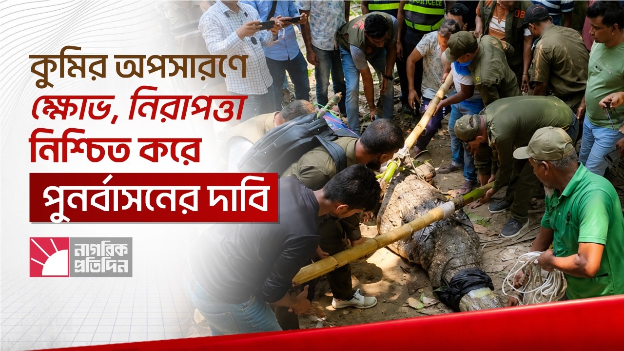 কুমির অপসারণে ক্ষোভ, নিরাপত্তা নিশ্চিত করে পুনর্বাসনের দাবি