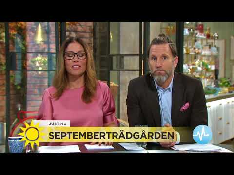 Så tar du hand om trädgården inför vintern - Nyhetsmorgon (TV4)