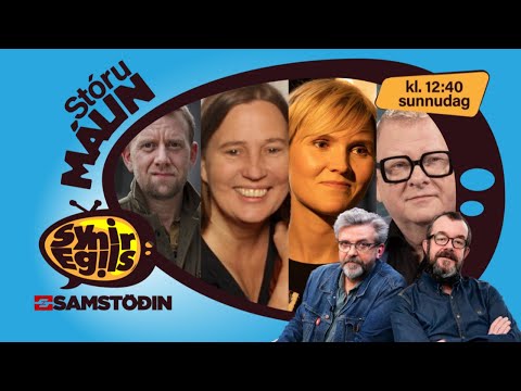 Stjórnarkreppa, kosningar, Samfylkingin