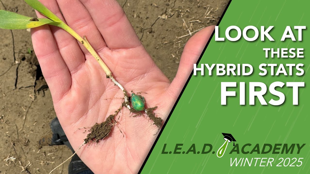 Seed Guide Insider: Which Stats Matter Most