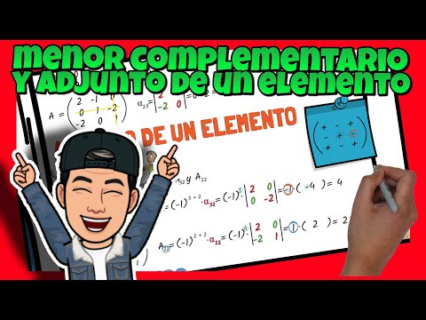 🔢 MENOR COMPLEMENTARIO y ADJUNTO de una MATRIZ