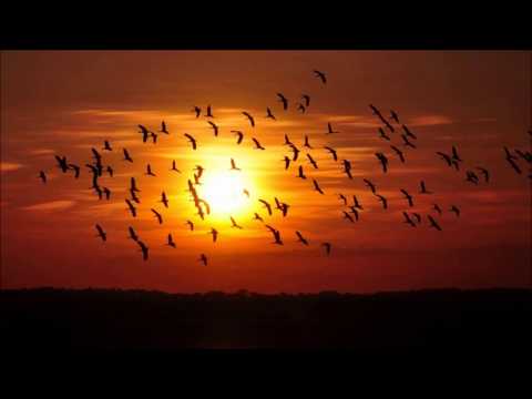 Contrapunteo José Humberto Castillo/Juana/Rafael PErez