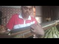 Chatusra Jathi Dhruva Thalam In Veena Instrument First Speed Thaal Gamaka By Sridhar Iyer