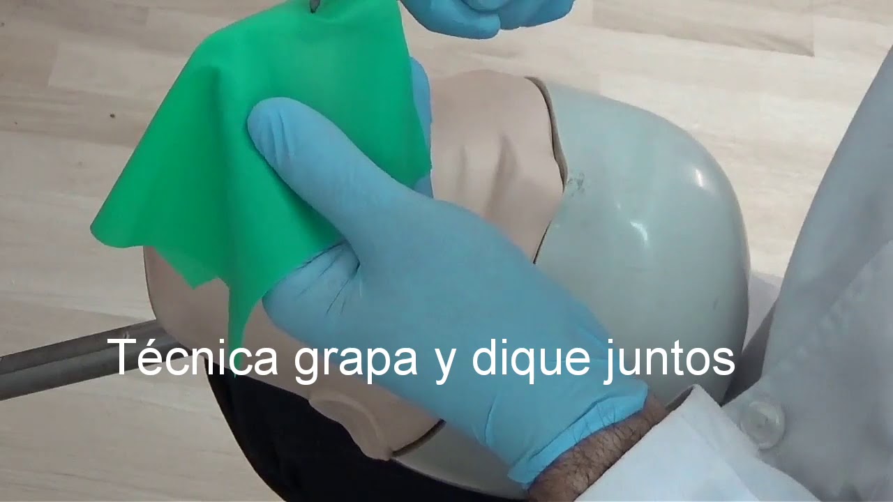 Margarita Estefania Parra Covarrubias-12