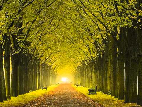 Peter Green - Slabo Day (1979)