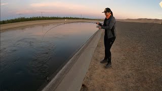 WTF!?!! Where's The Fish? | Aqueduct Striper Fishing | Delta Mendota Canal |
